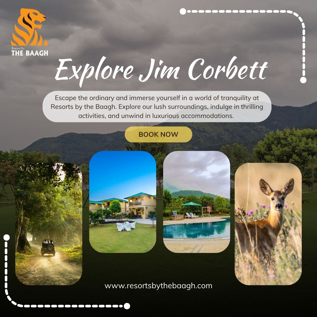 White-and-Yellow-Modern-Explore-Thailand-Instagram-Post-2